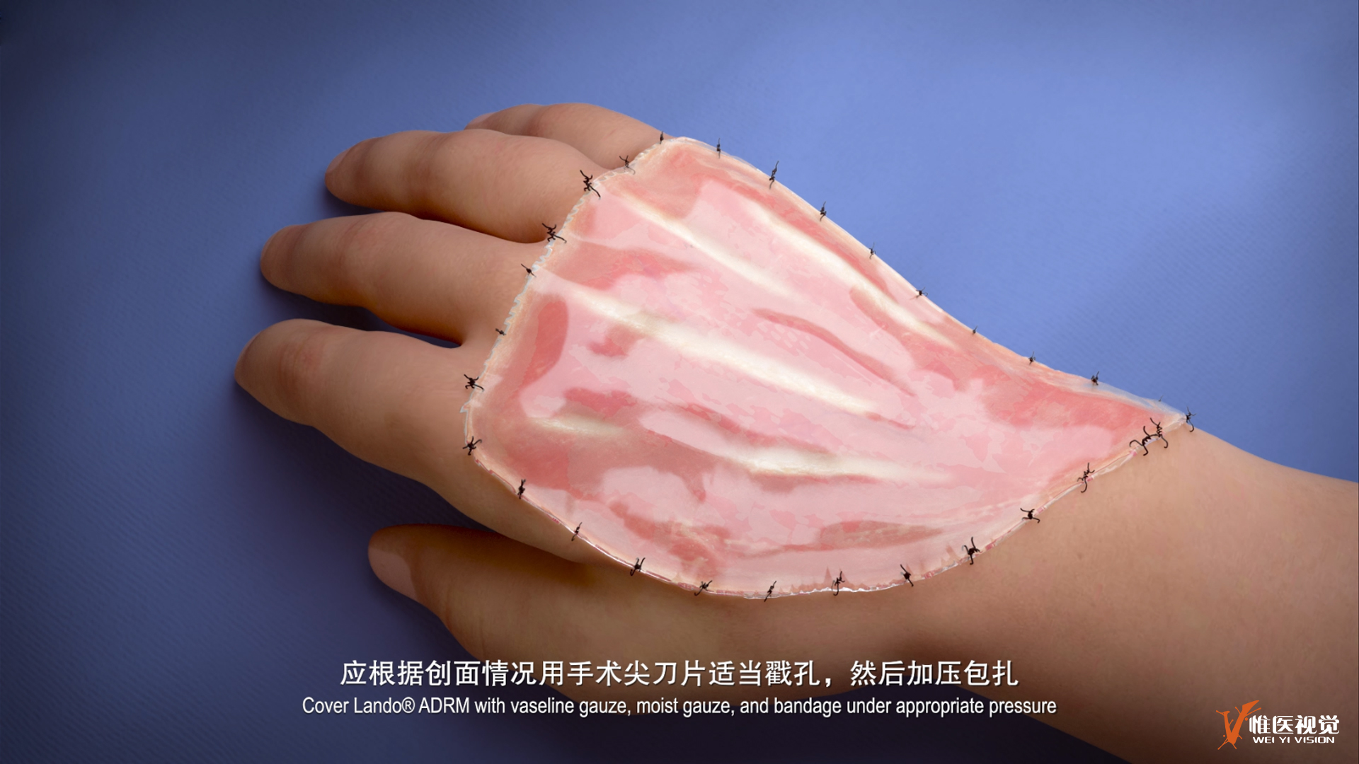 兰度分镜.jpg